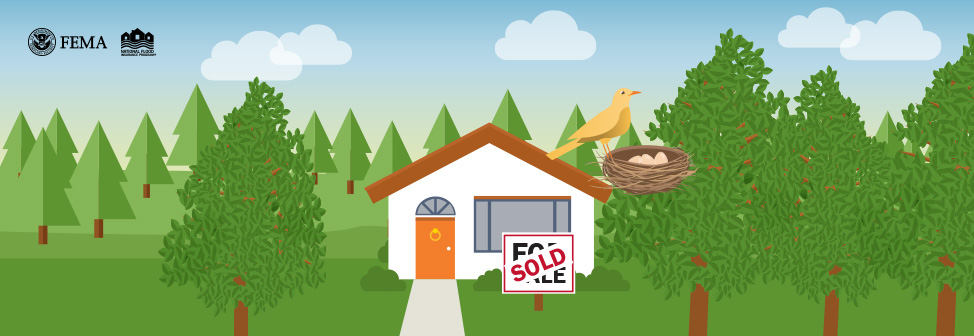 house with a sold sign and a bird in a nest with eggs