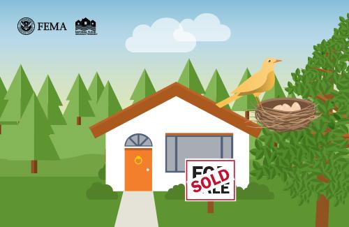 house with a sold sign and a bird in a nest with eggs 