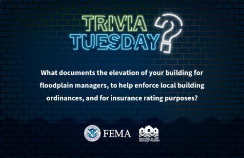 trivia Tuesday