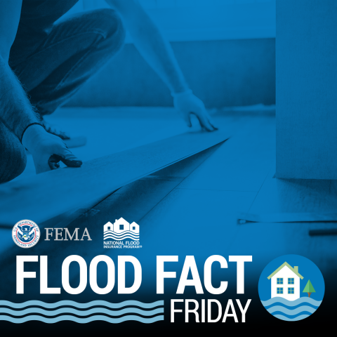 flood fact friday