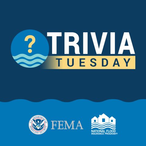 trivia tuesday