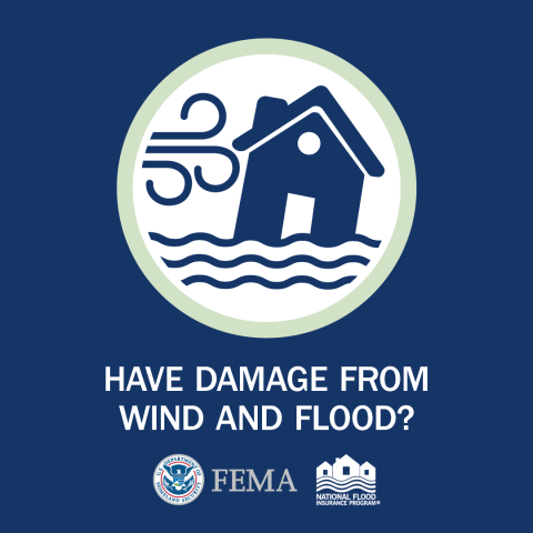 have damage from wind and flood?