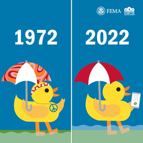 1972 and 2022 FLIP