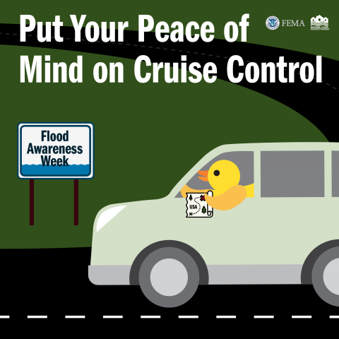 duck driving car put your peace of mind on cruise control