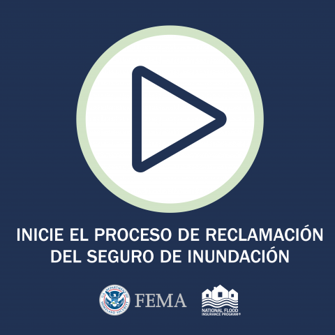 Inicie el Proceso