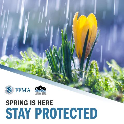 Spring is here stay protected