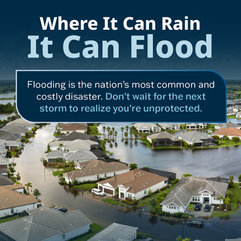NFIP Policy Tool Prepared thumbnail