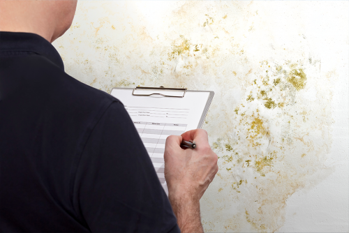 Inspector taking notes while inspecting wall covered in mold and water damage