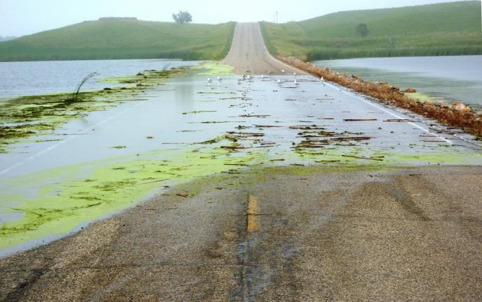 Water and debris cover flooded road