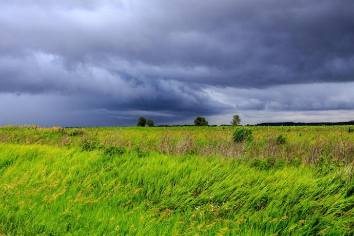 Storm