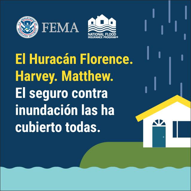 Information Gap: Flood Insurance Has You Covered 
