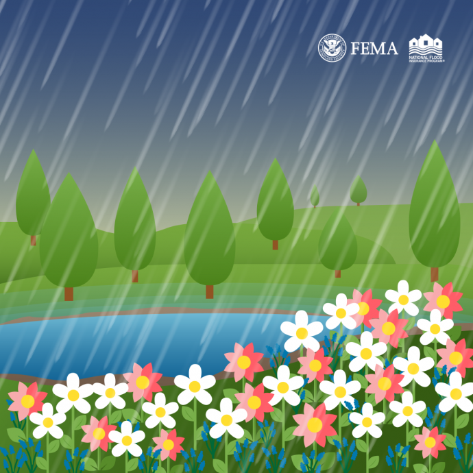flowers with rain in the background
