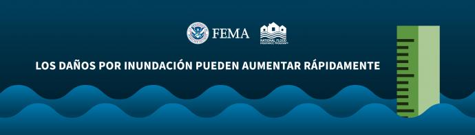 email header - Spanish