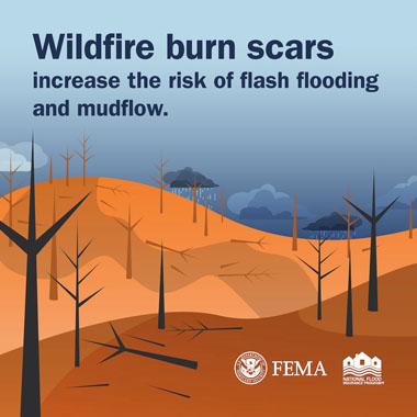 Burned-down forest under rainy skies. Text: Wildfire burn scars increase the risk of flash flooding and mudflow.