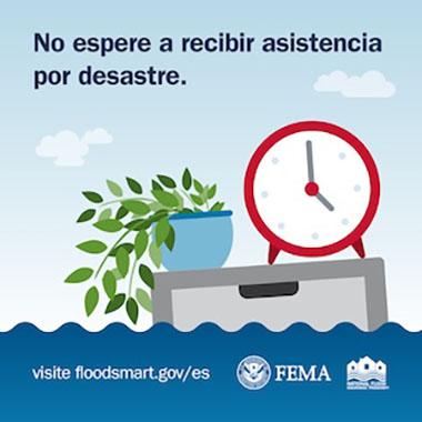 Una ilustración de una escena inundada con una planta en una maceta azul, un reloj con bordes rojos y un cajón gris parcialmente sumergido en agua.