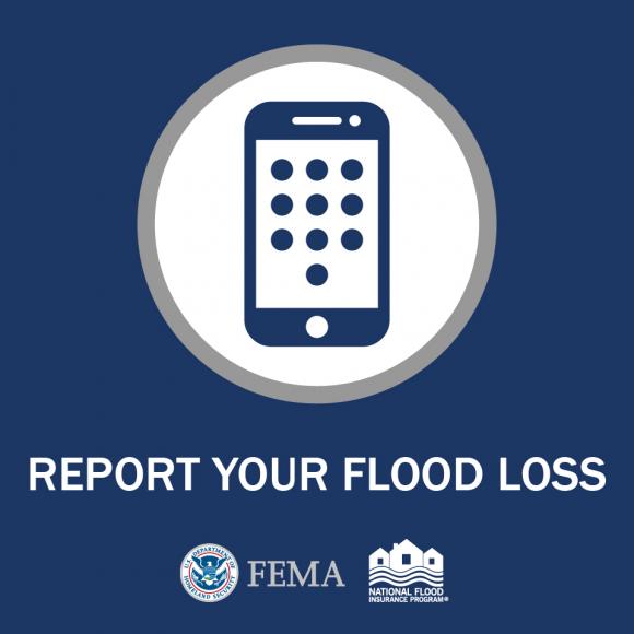 Flood Loss Graphic