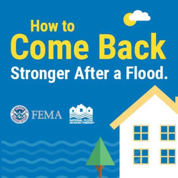 How to Come Back Stronger After a Flood