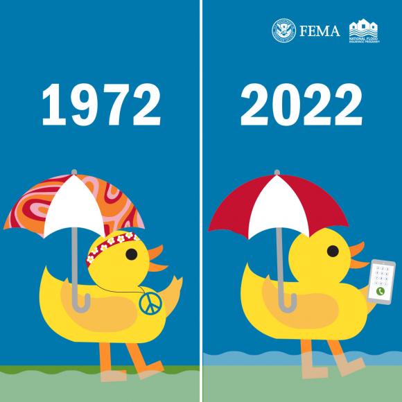 1972 and 2022 FLIP
