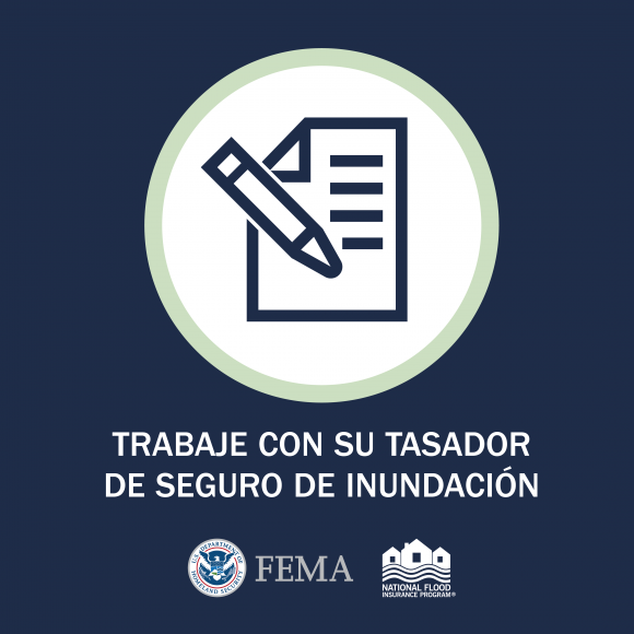 Trabaje con su Tasador