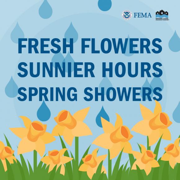 fresh flowers sunnier hours spring showers