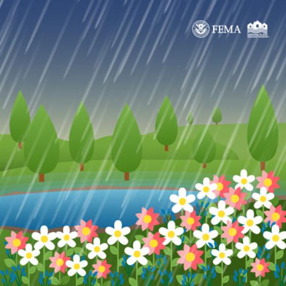 Wildflowers growing next to tree-lined lake, underneath a rainstorm