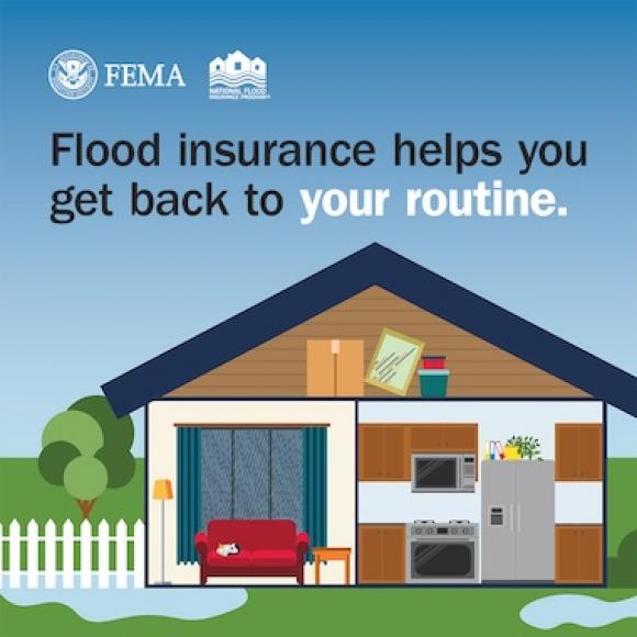 House with white picket fence and puddles of water in the yard, showing interior of living room, kitchen, and attic. Text: Flood insurance helps you get back to your routine.