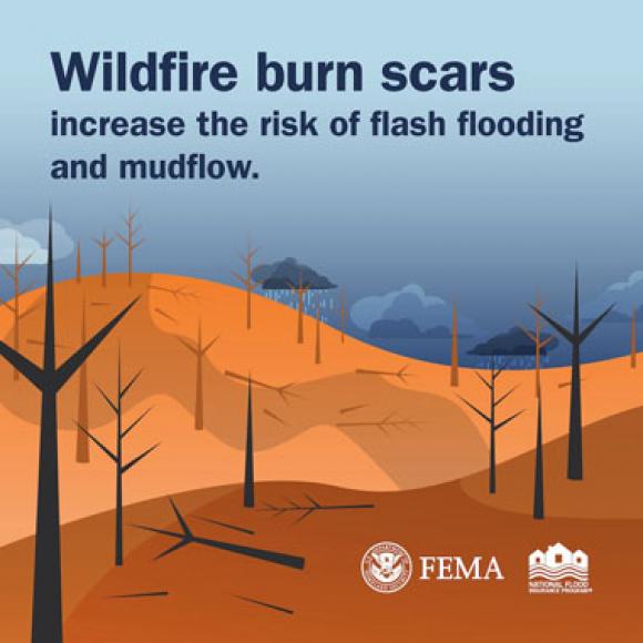 Burned-down forest under rainy skies. Text: Wildfire burn scars increase the risk of flash flooding and mudflow.