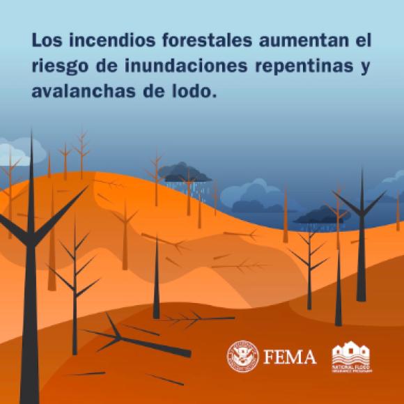 Un paisaje forestal quemado con nubes de lluvia en el fondo. El texto dice: Los incendios forestales aumentan el riesgo de inundaciones repentinas y avalanchas de lodo.