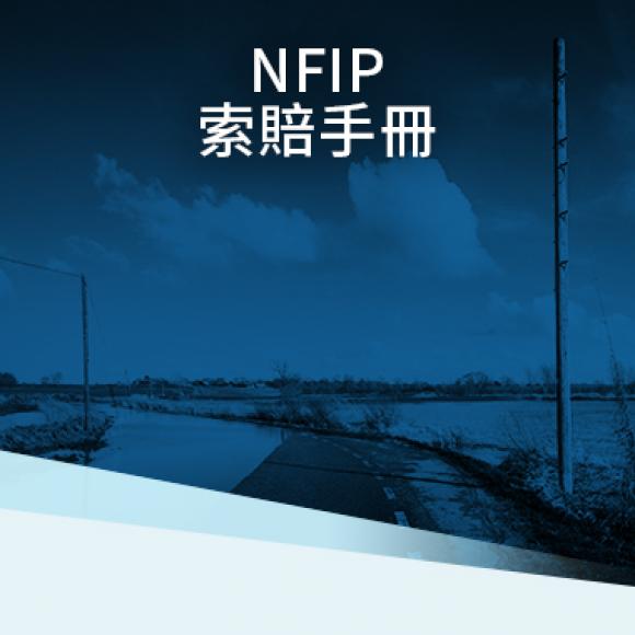 洪水氾濫的道路