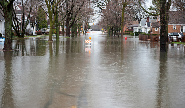 Flooded tree-lined street
